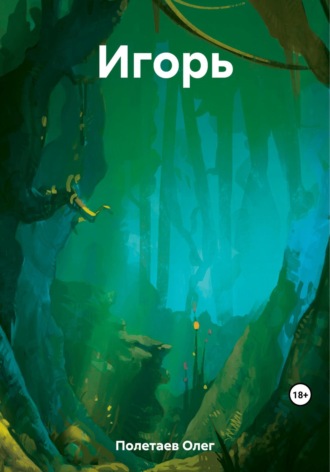 Обложка книги «Игорь»