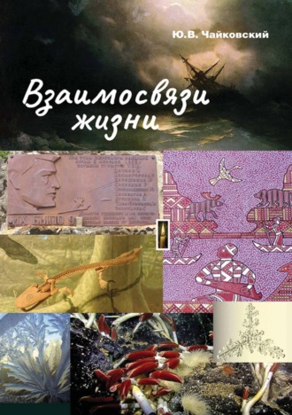 Обложка книги «Взаимосвязи жизни. Миниэнциклопедия дополняет. Том 1. А – П»