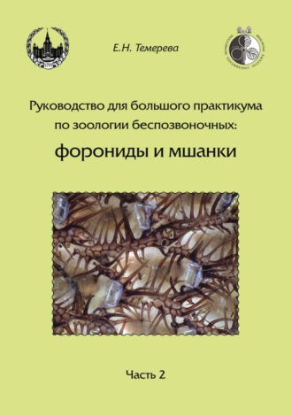 Е. Н. Темерева. Руководство для большого практикума по зоологии беспозвоночных: форониды и мшанки. Часть 2