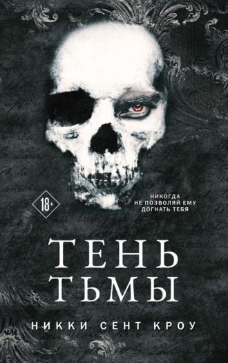 Обложка книги «Тень Тьмы»