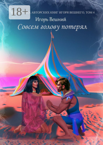 Обложка книги «Совсем голову потерял»