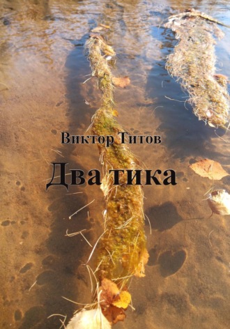 Обложка книги «Два тика»