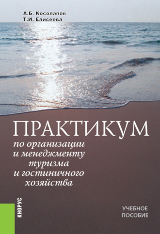 Татьяна Ивановна Елисеева. Практикум по организации и менеджменту туризма и гостиничного хозяйства. (Бакалавриат, Магистратура). Учебное пособие.