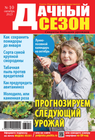 Обложка книги «Дачный сезон №10/2023»