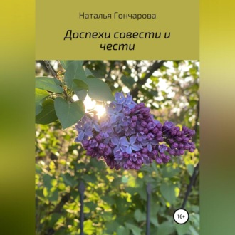 Обложка книги «Доспехи совести и чести»