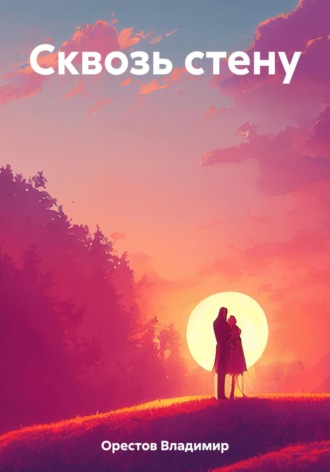 Обложка книги «Сквозь стену»