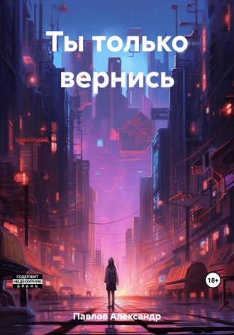 Обложка книги «Ты только вернись»
