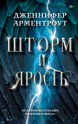 Обложка книги «Шторм и ярость»