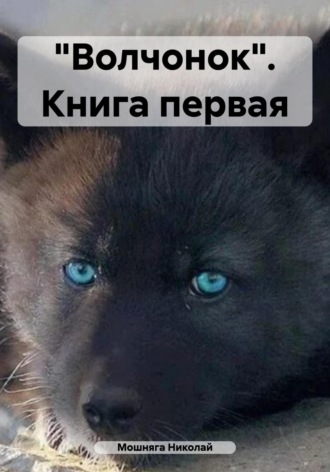 Обложка книги ««Волчонок». Книга первая»