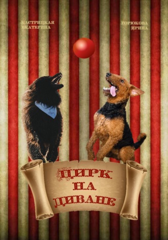 Обложка книги «Цирк на диване»