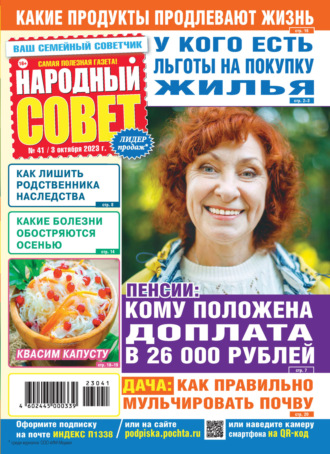 Обложка книги «Народный совет №41/2023»