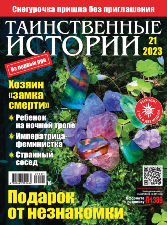 Обложка книги «Таинственные истории №21/2023»