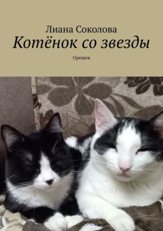 Обложка книги «Котёнок со звезды. Орешек»