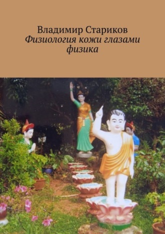 Владимир Стариков. Физиология кожи глазами физика