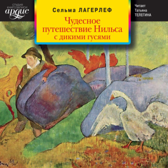 Обложка книги «Чудесное путешествие Нильса с дикими гусями»