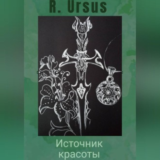 Обложка книги «Источник красоты»