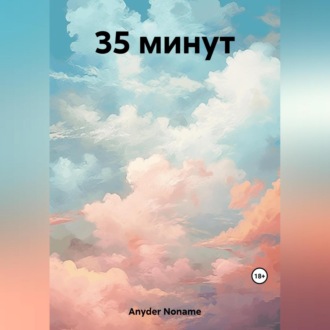 Обложка книги «35 минут»