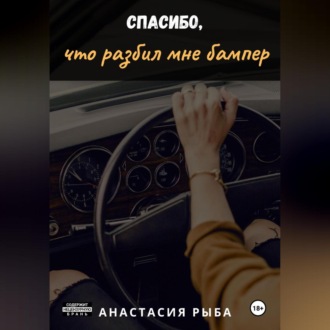 Обложка книги «Спасибо, что разбил мне бампер»