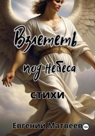 Обложка книги «Взлететь под небеса»