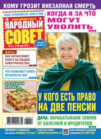 Обложка книги «Народный совет №42/2023»