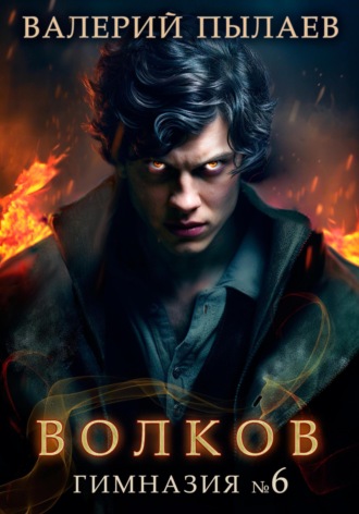 Обложка книги «Волков. Гимназия №6»