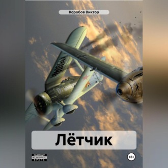 Обложка книги «Лётчик»