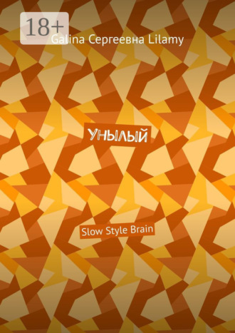 Обложка книги «Унылый. Slow Style Brain»