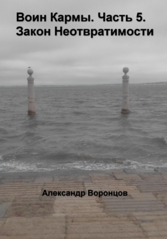 Александр Воронцов. Воин Кармы. Часть 5. Закон Неотвратимости