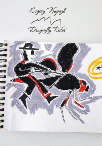 Обложка книги «Dragonfly Rider»