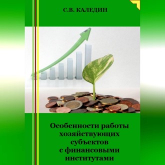 Обложка книги «Особенности работы хозяйствующих субъектов с финансовыми институтами»