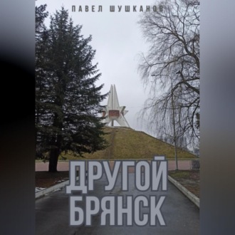Обложка книги «Другой Брянск»