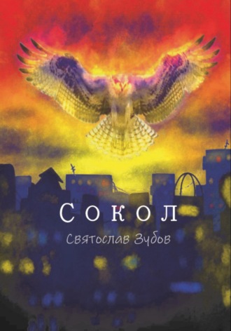Обложка книги «Сокол»