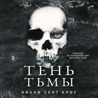 Обложка книги «Тень Тьмы»