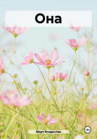 Обложка книги «Она»