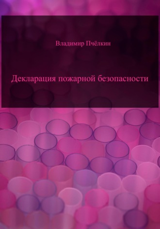 Владимир Пчёлкин. Декларация пожарной безопасности