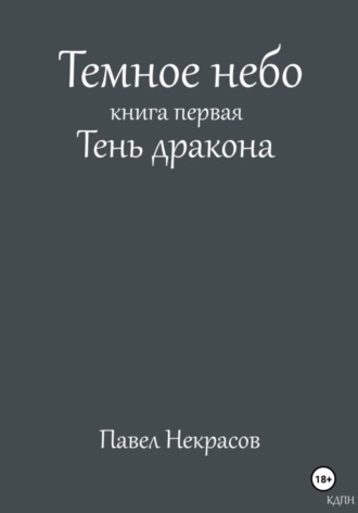 Обложка книги «Темное небо. Книга первая. Тень дракона»
