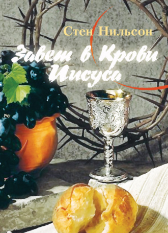 Обложка книги «Завет в Крови Иисуса. Красная нить Библии»