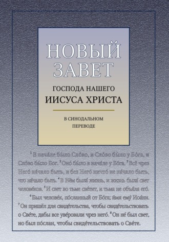 Обложка книги «Новый Завет Господа Нашего Иисуса Христа (с ударениями)»