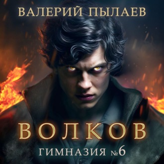Обложка книги «Волков. Гимназия №6»