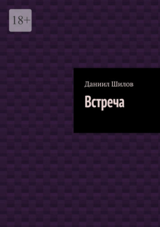 Даниил Шилов. Встреча