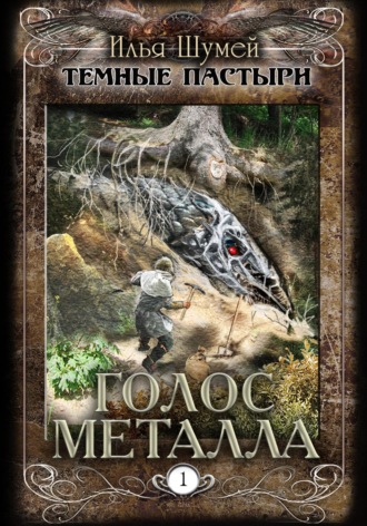 Обложка книги «Голос металла»