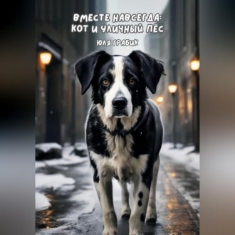 Обложка книги «Вместе навсегда: кот и уличный пес»