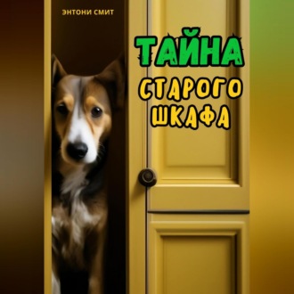 Обложка книги «Тайна старого шкафа»