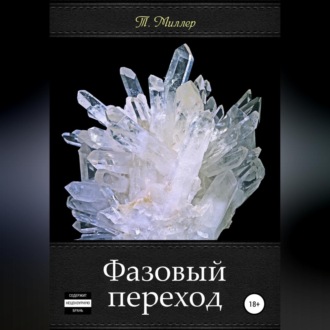 Обложка книги «Фазовый переход»