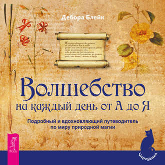 Дебора Блейк. Волшебство на каждый день от А до Я. Подробный и вдохновляющий путеводитель по миру природной магии