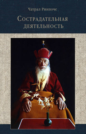 Обложка книги «Сострадательная деятельность»