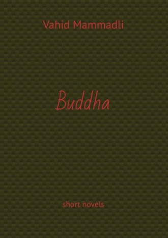 Vahid Mammadli. Buddha. short novels