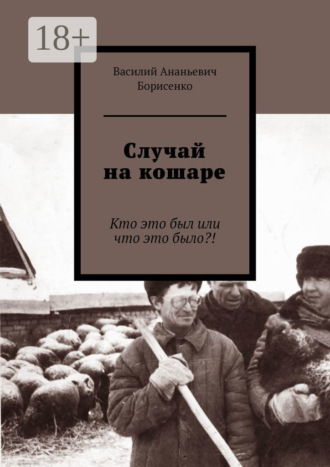 Обложка книги «Случай на кошаре. Кто это был или что это было?!»