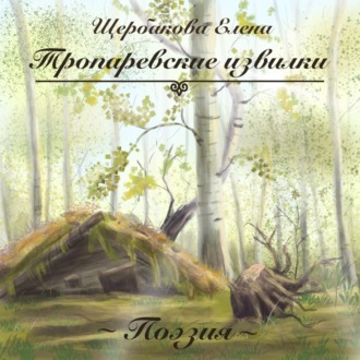 Обложка книги «Тропаревские извилки»
