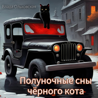 Обложка книги «Полуночные сны чёрного кота»
